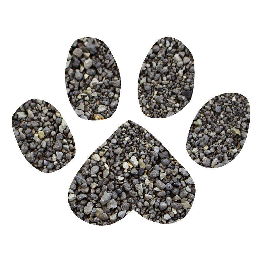 Dr Elseys Cat Ultra Premium Clumping Cat Litter Superior Odor Control Cat Litter