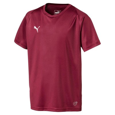 

Футболка Puma Liga Core с V-образным вырезом и короткими рукавами для мальчиков, молодежная, бордовая 703542-09, Burgundy, Puma Liga Core VNeck Short Sleeve Soccer Jersey Youth