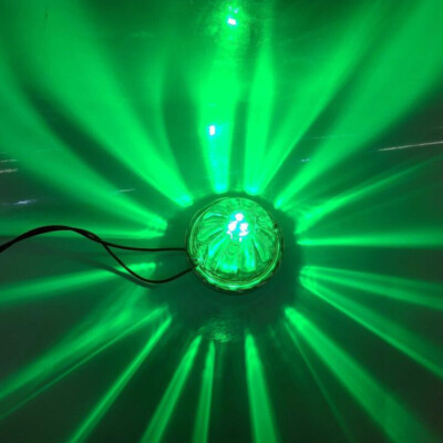 Watermelon LED Bulbs Light Clear Glass Lens Lights Kit 1156 1 Wire Incandescent