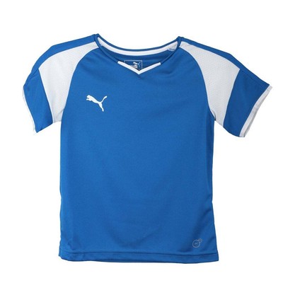 

Молодежная футбольная майка Puma Borussia с V-образным вырезом для мальчиков 703038-02-Y, Синий, Puma Borussia V-Neck Soccer Jersey Youth