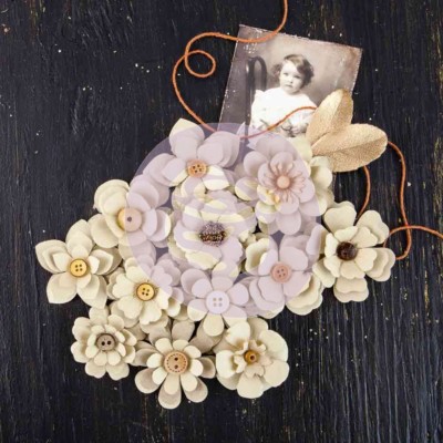 PRIMA '' COY - MAGDA'' 12 Beautiful Flowers  581169