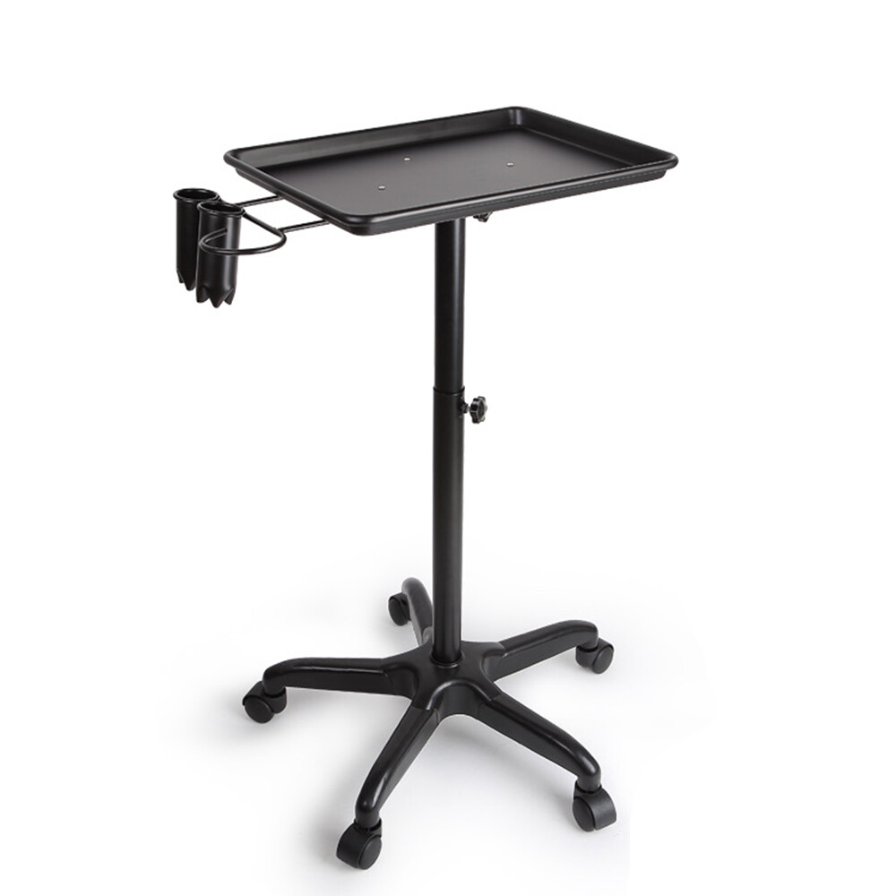 Beauty Rolling Trolley Cart Mobile Salon Spa Service Instrument