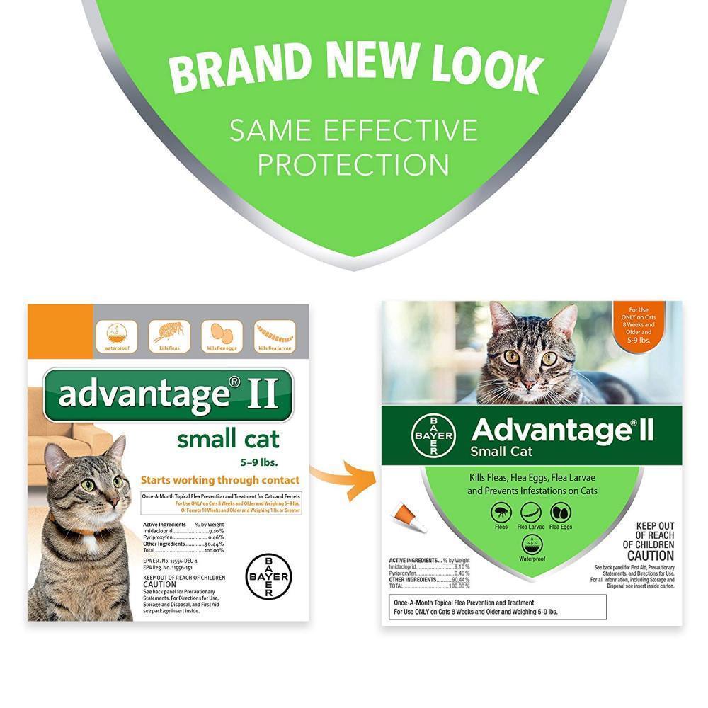 Bayer Advantage II Flea Prevention for Cats
