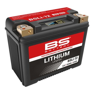 BS BATTERY Lithium LiFePO4 Batterie BSLI12