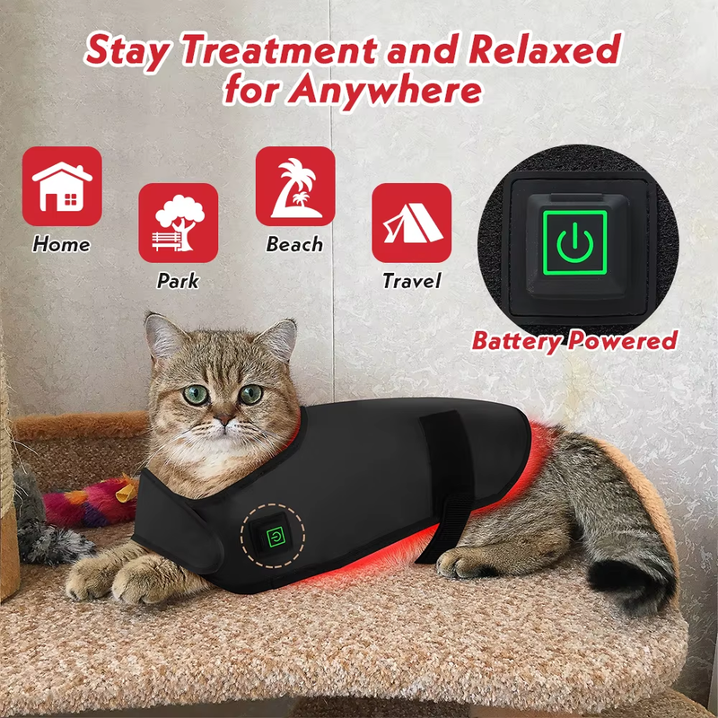 Veterinary Infrared physiotherapy Red Light Therapy Belt for Animals Convenient