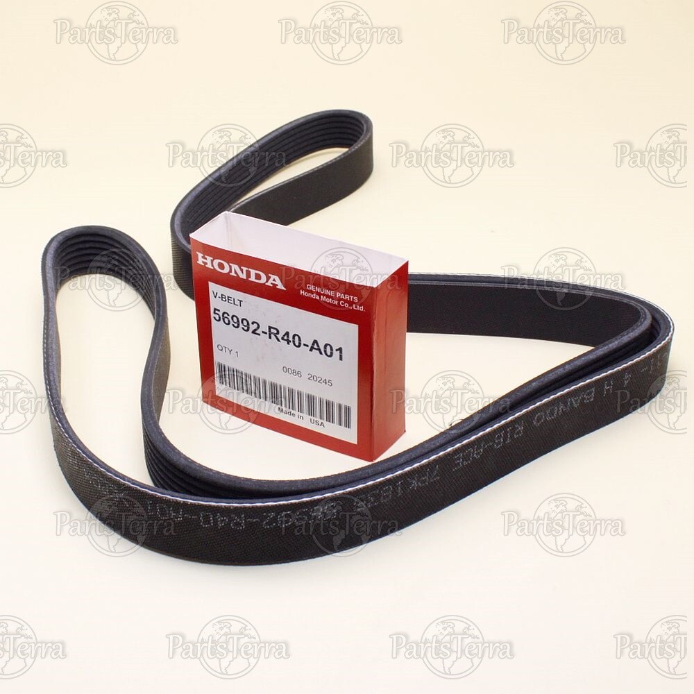 🌎Genuine OEM Honda 2008-2012 ACCORD 2.4L Power Steering Pump Belt 56992-R40-A01