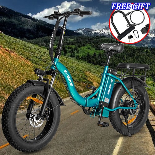 Axiniu 20" Electric Bike 750W 36V Foldable Mountain City Sno