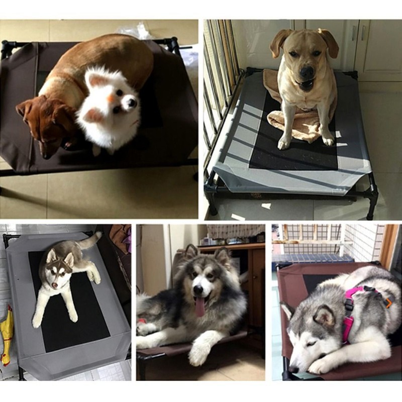 Removable Oxford Dog Bed Chew Proof Elevated Cooling Raised Pet Cots Metal Frame