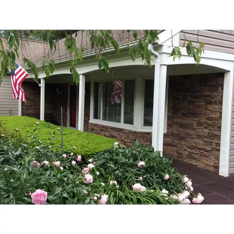 Picture 4
