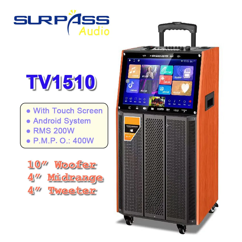 Portable High Quality System 10Inch Woofer Trolley Karaoke Speaker Outdoor Spea