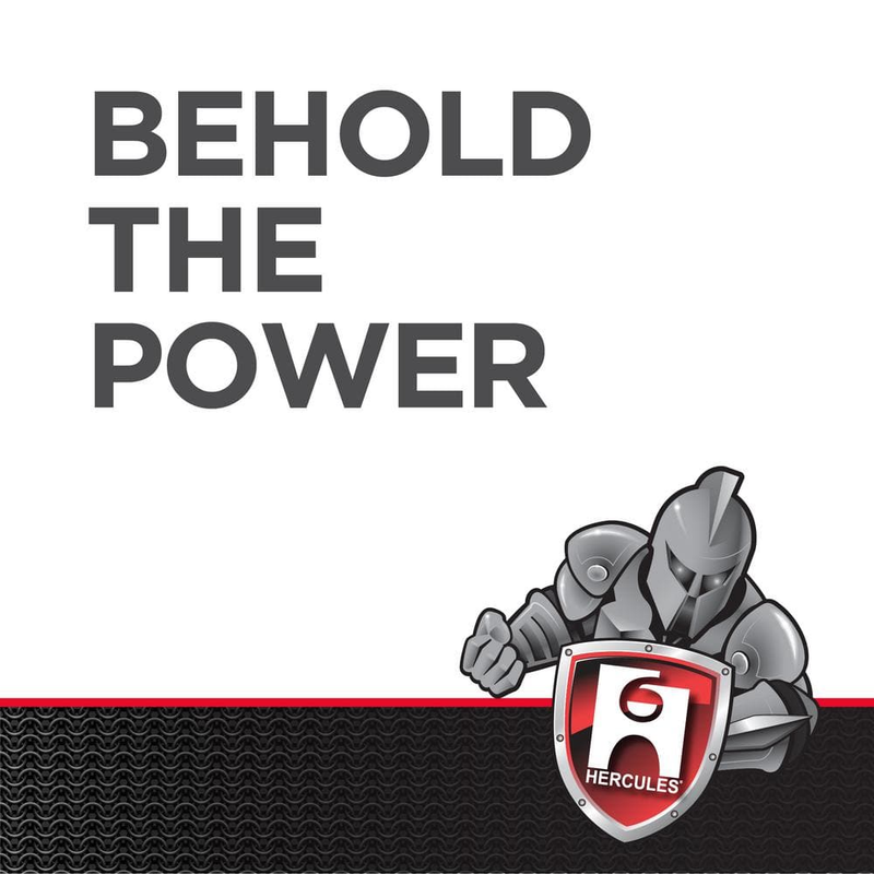 Haymaker Tankless Water Heater Descaler