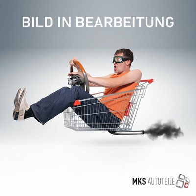 AS-PL (SD0056) Freilaufgetriebe, Starter