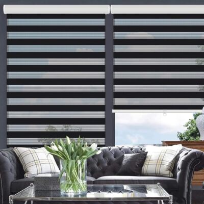 Cordless Zebra Blinds Roller Shades with Valance Dual Layer Sheer Blinds