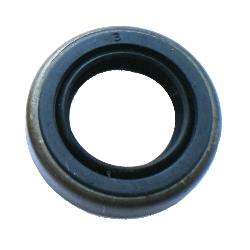 Oil Seal / Radial Ring for OLEO-MAC Models [#094000099R] | eBay