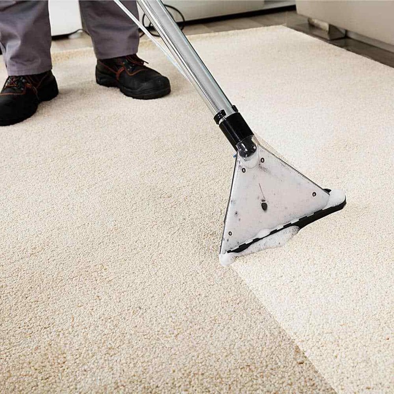 1 Gal. Carpet Shampoo for Vacuums and Machines Deep Cleaning and Stain Removal