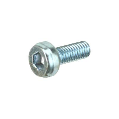 Back Cover Screw, Singer
