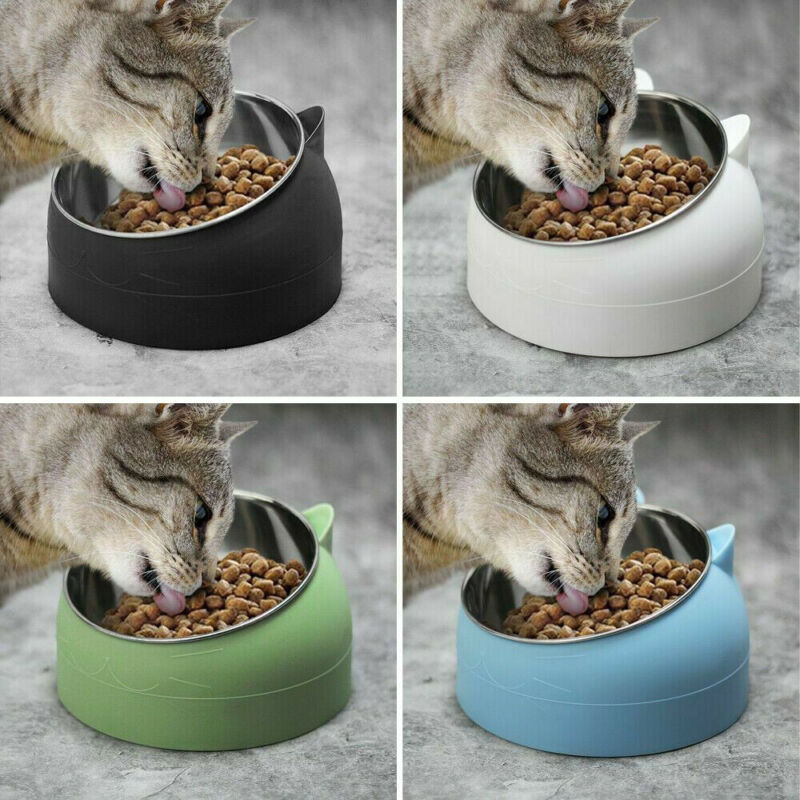 Cat Dog Bowl 15 Degrees Tilted Stainless ...