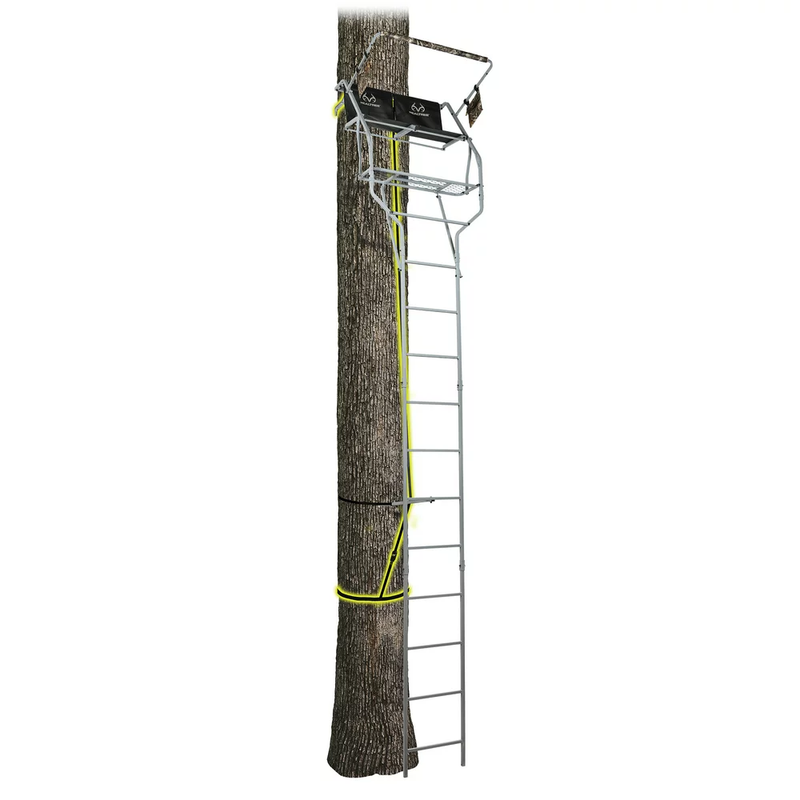 Ladder Stand,18 Ft. 2-Person Steel Hunting Ladder Tree stand w/ Blind Enclosure