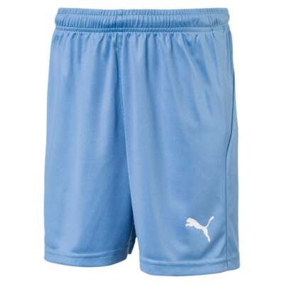 

Футбольные шорты Puma Liga Core для мальчиков, синие повседневные спортивные штаны для мальчиков 703437-18, Синий, Puma Liga Core Soccer Shorts Youth