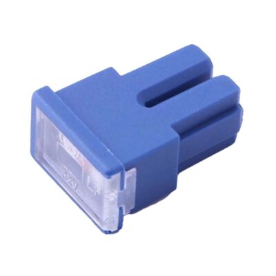 1 Pcs Car Fuse 100A32V - 0293100.MXJ