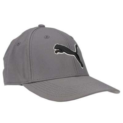 

Puma Dillon Stretch Fit Hat Mens Grey Casual Travel 856203-10, Puma Dillon Stretch Fit Hat
