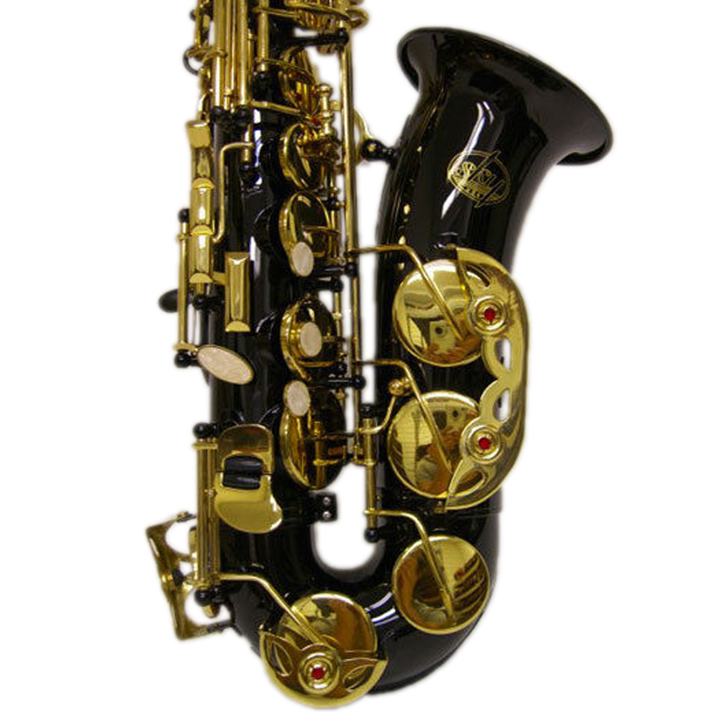 HOLIDAY SALE Black/Gold Alto Saxophone w Wonderful Versatile Case