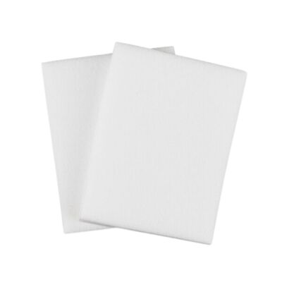 D'Addario GHP-RS Humidifier Replacement Sponges - 2 Pack