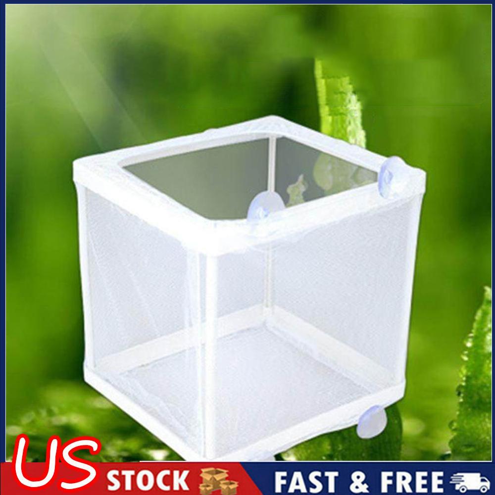 Fish Tank Aquarium Mesh Incubator Breeder Net Fish Baby Gauze Trap Box Isolator