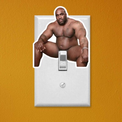 6 PACK - BARRY WOOD LIGHT SWITCH MIDDLE FINGER Sticker Decal Humor Funny VG0020