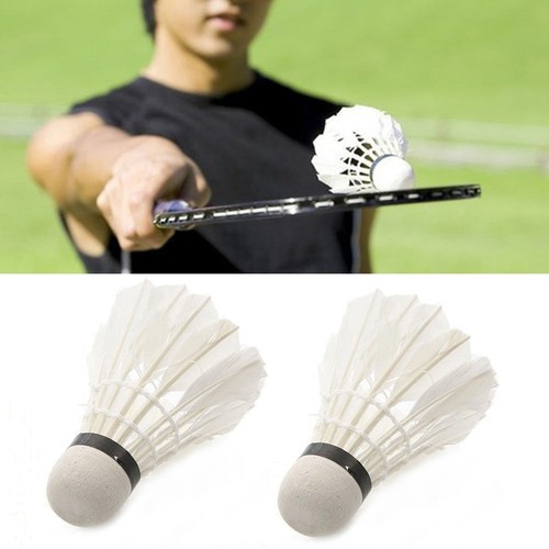 1//6//12Pcs Outdoor Training Feather Birdies Ball Sports Gym Instrument Badminton