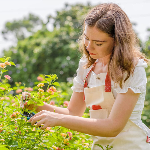 Berry&Bird 2Pcs Garden Pruning Shears Gardening Scissors Hand Pruners Tools