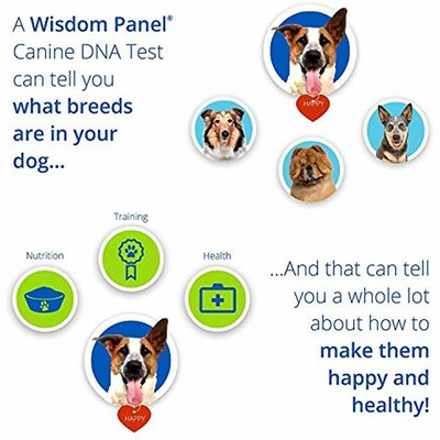 Wisdom Panel Dog DNA Test Kit - Canine Breed Identification And Ancestry Pet