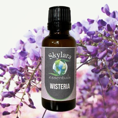 Organic Wisteria Essential Oil - Free Shipping