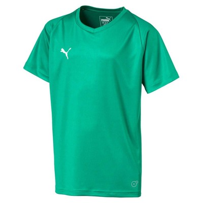 

Футболка Puma Liga Core с V-образным вырезом и короткими рукавами для мальчиков, размер  70354205, Зеленый, Puma Liga Core V Neck Short Sleeve Soccer Jersey Youth
