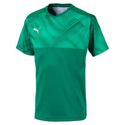 

Puma Cup V Neck Short Sleeve Soccer Jersey Youth Boys Green 703774-05, Зеленый, Puma Cup V Neck Short Sleeve Soccer Jersey Youth