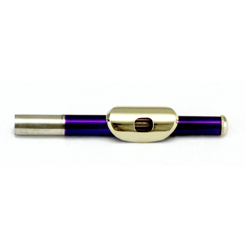 Limited Time! SKY Brand New Purple Piccolo with Gold Keys**Holiday SALE