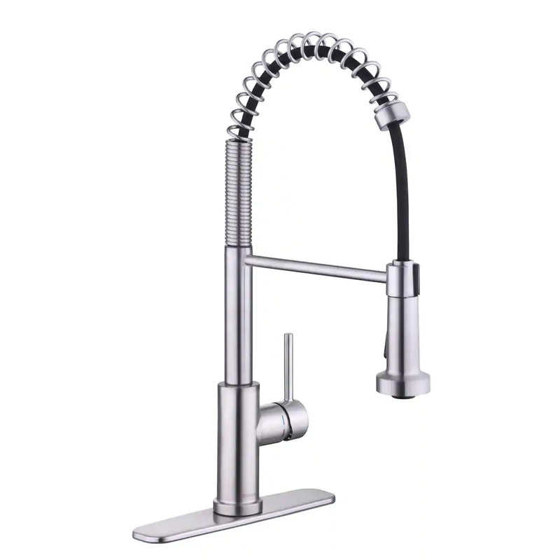 Paulina Single-Handle Spring Neck Pull down Sprayer Kitchen Faucet in Stainless