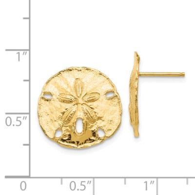 Pre-owned Superdealsforeverything Real 14kt Yellow Gold Large Sanddollar Post Earrings