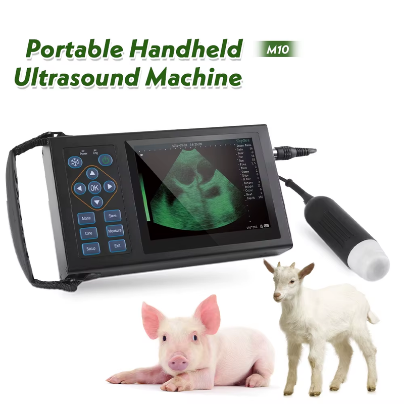 Veterinary Ultrasound Vet Handheld Scanner veterinary pregnancy Ultrasound Machi