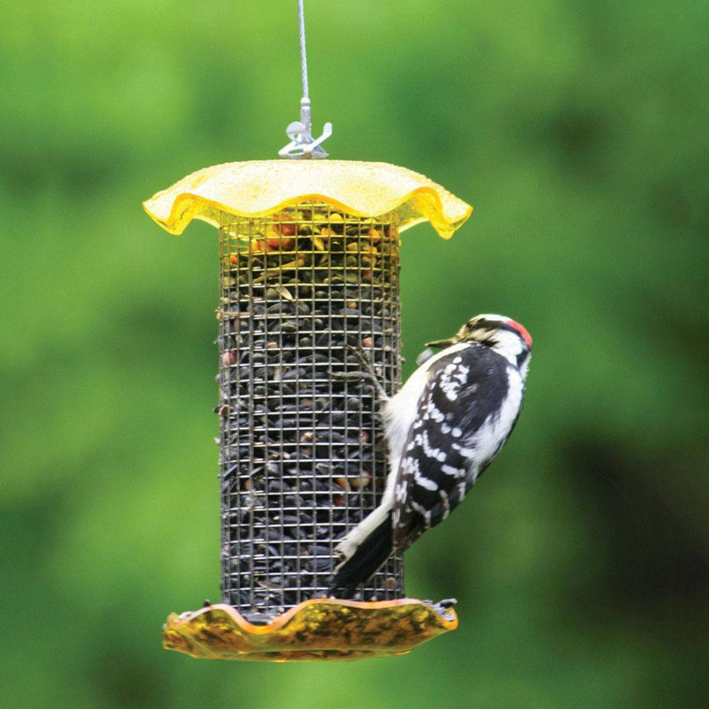 1 Qt. Yellow Sunflower Forever Feeder