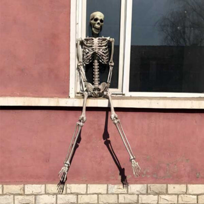 5.4ft Halloween Skeleton Full Body Life Size Skeleton Bones with Movable Joints