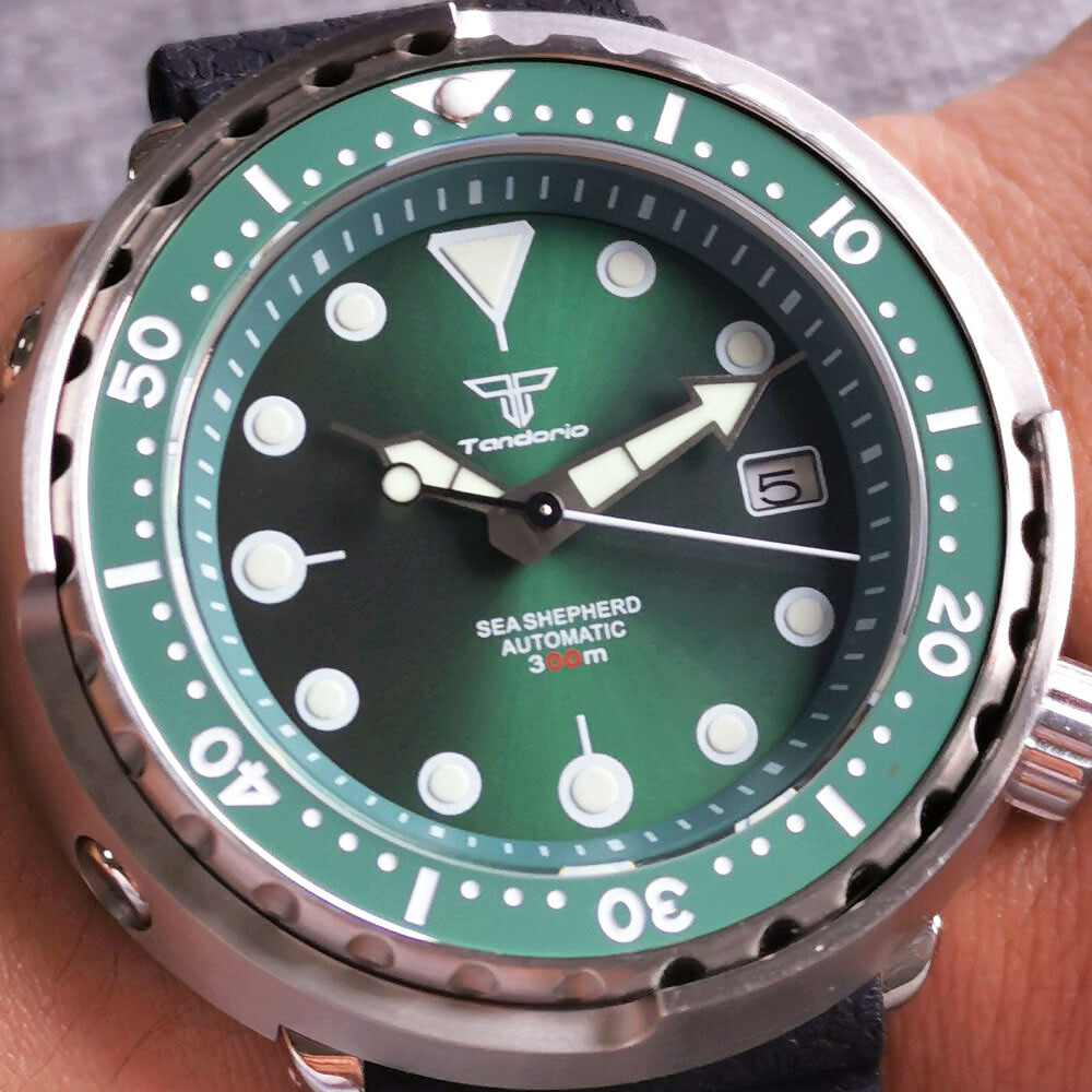 30ATM Diver 46.5mm Tandorio Japan NH35A Lume Sapphire Glass Automatic Mens Watch