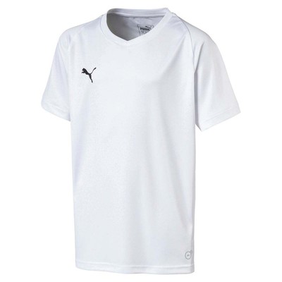

Футболка Puma Liga Core с V-образным вырезом и короткими рукавами для мальчиков, молодежная, белая 703542-04, Белый, Puma Liga Core V Neck Short Sleeve Soccer Jersey Youth