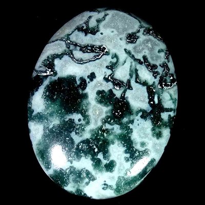 23.65Cts 21X27X5mm 100% Natural Top Designer Tree Agate Oval Cab Loose Gemstone