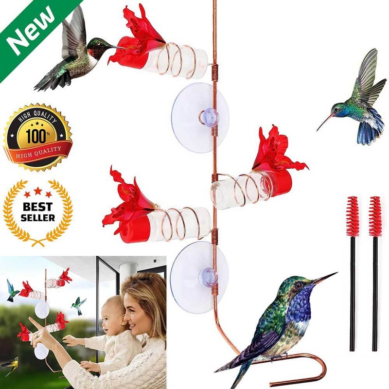 Glass Mount Suction Flowers Alimentador Colibrie