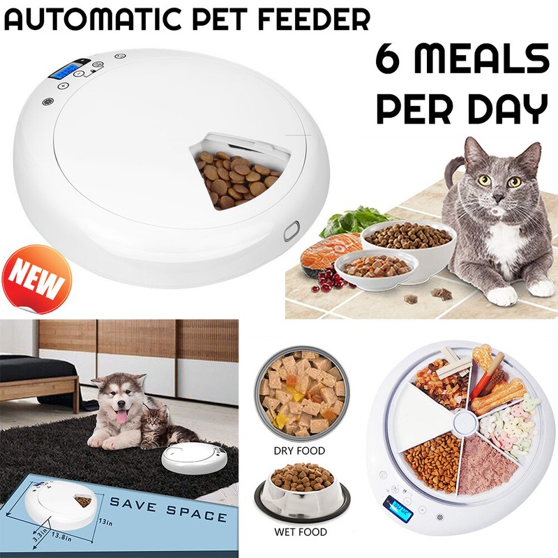 7 day cat feeder