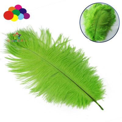 30 color Ostrich feathers 15-20 cm decoration starry wedding mask handmade DIY