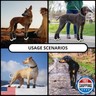 Dog Shoes for Hot Pavement Anti-Slip Dog Boots Waterproof Dog Shoes for Small to Large Dogs with Reflective Straps Pet Dog Boots for Hiking.4Pcs Soft Breathable Paw Protectors for Dogs
