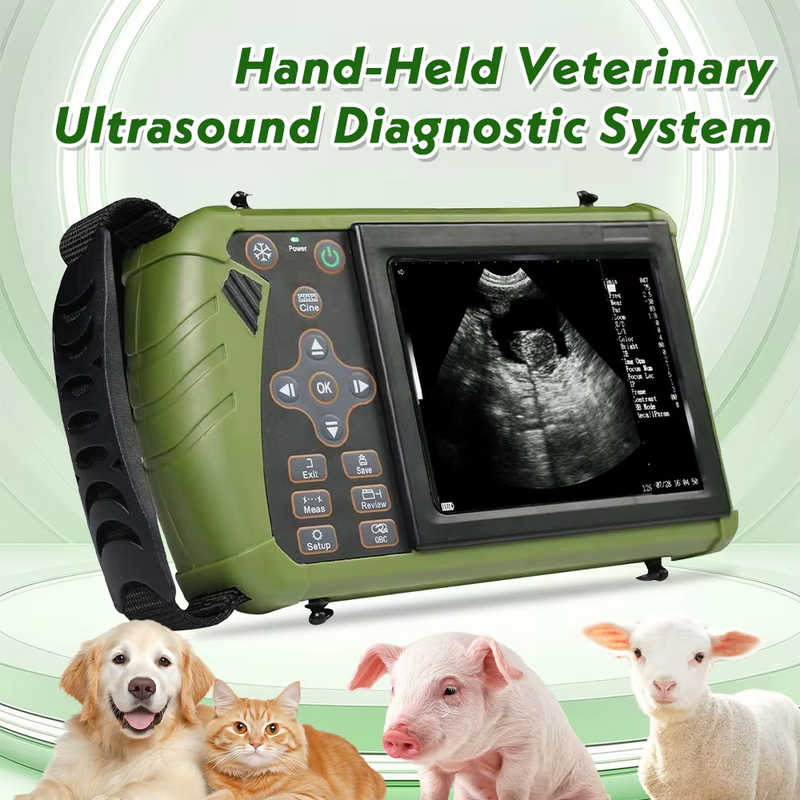 Veterinary Ultrasound Scanner 3.5MHz Convex Probe Vet Pregnancy Ultra Machine fo