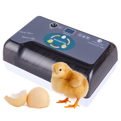 Portable 12 Eggs Auto Turning Incubator Poultry Hatcher Egg LED Lamp Gift Home